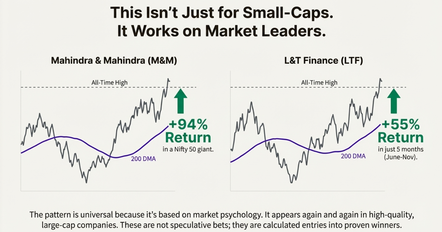 Large Cap Success Stories