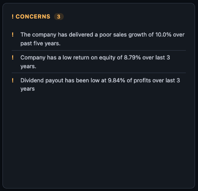 AI-generated Concerns card showing risk flags that require investigation before investing