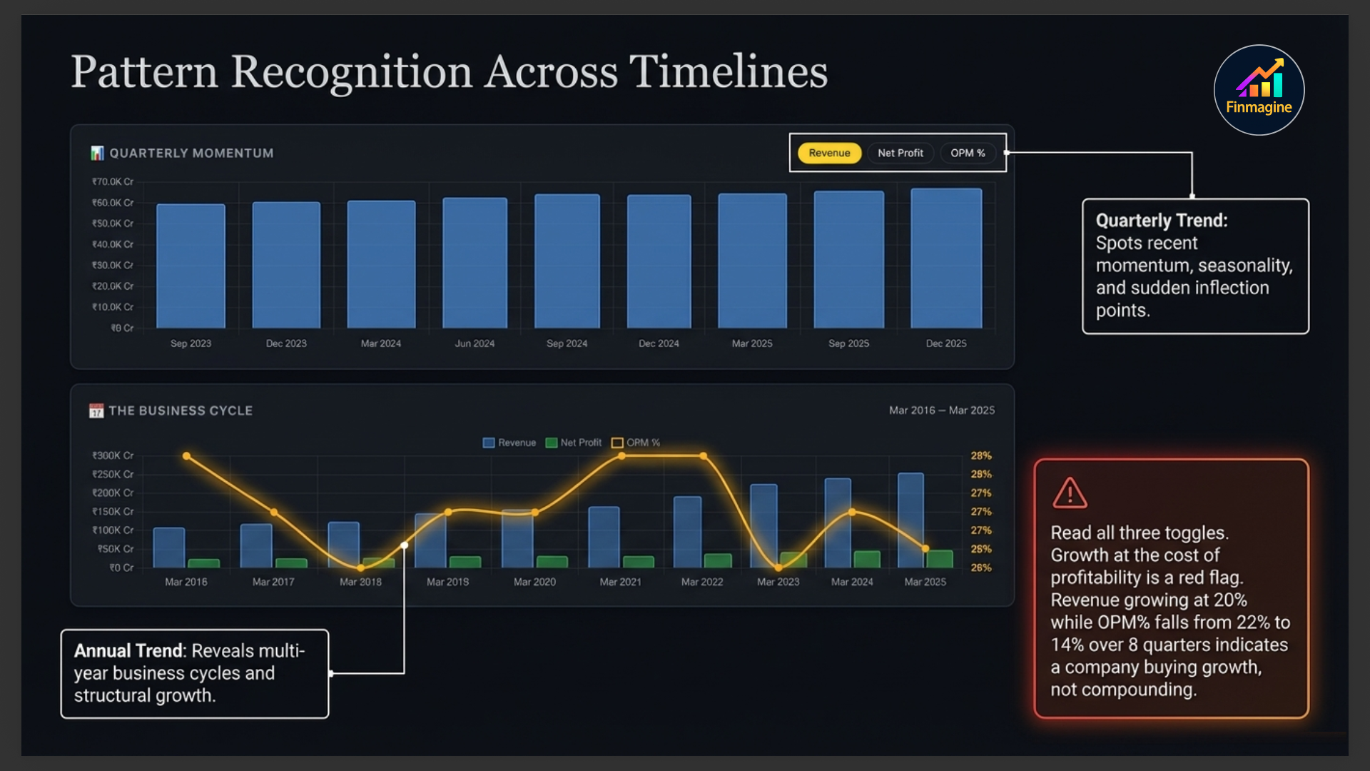 Pattern Recognition Across Timelines — Quarterly Momentum chart and Annual Business Cycle chart with red flag warning about growth at the cost of profitability