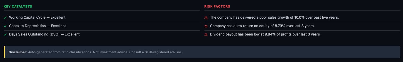 Key Catalysts and Risk Factors — green checkmarks for Working Capital Cycle, Capex to Depreciation, DSO; red flags for sales growth, ROE, dividend payout